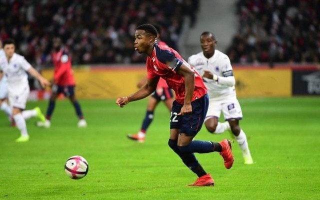 仅引发了尤 仅引发了尤